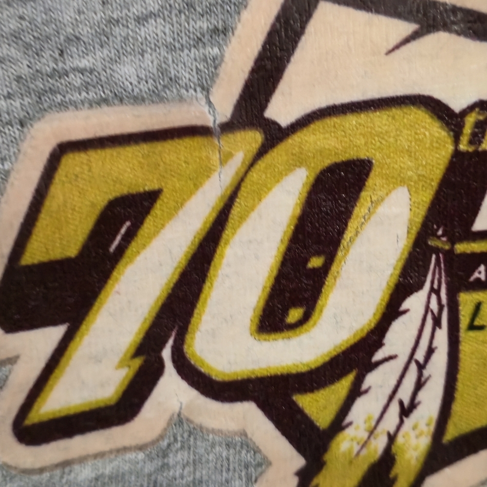 Reebok XL Vintage NFL Washington Redskins 70th Anniversary T-Shirt Gray Sporty - Picture 12 of 12